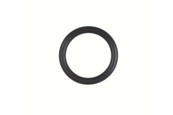 O-Ring, Größe 21,82x3,53